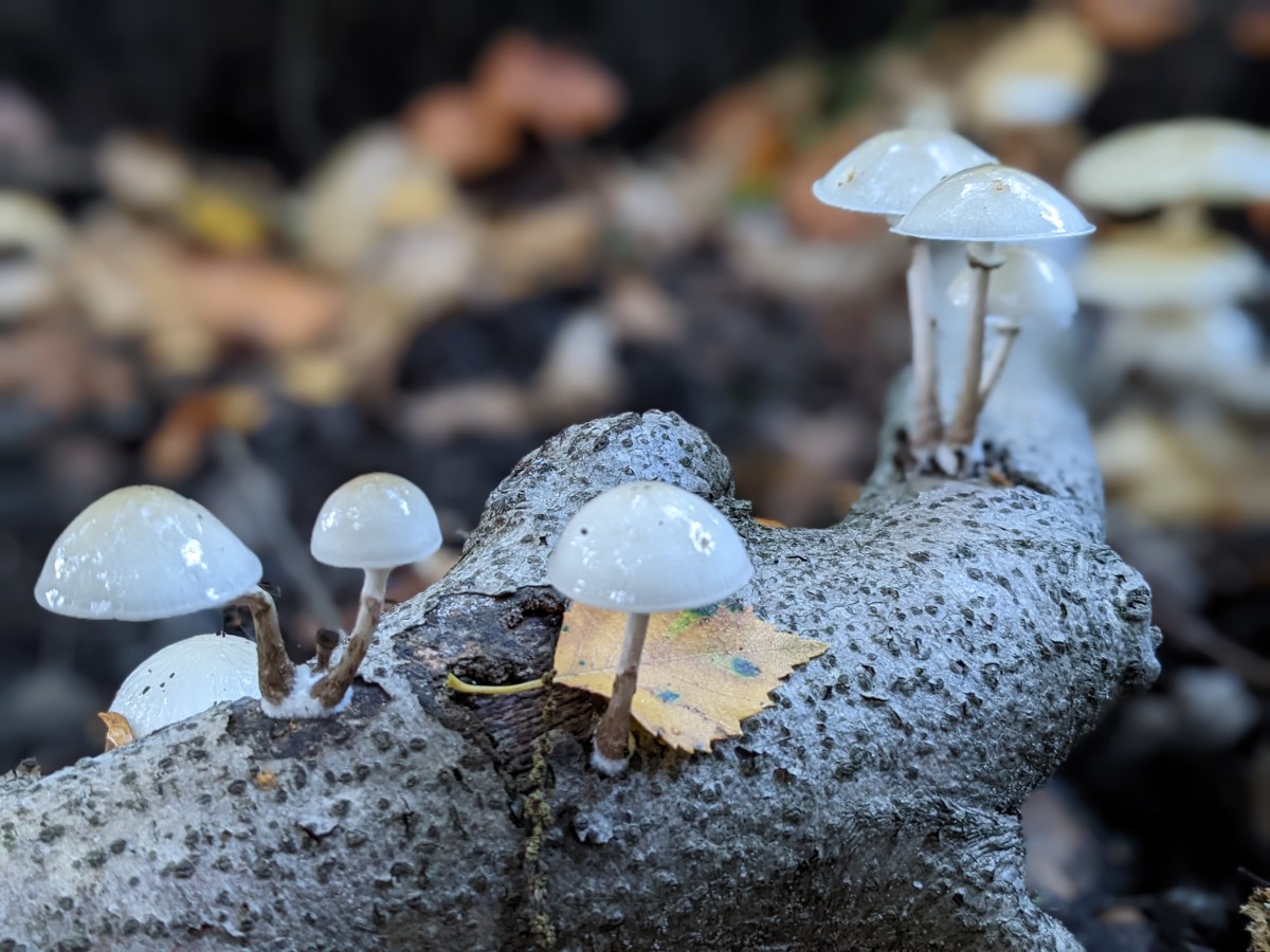 1 Year After the Start of My Burnout: What Helped Me Heal and Which Insights I Take With&nbsp;Me